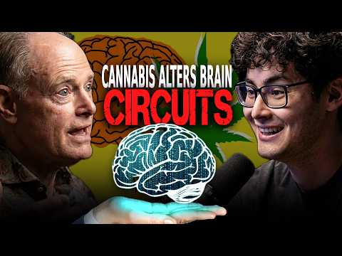 Dr. David Perlmutter on the Digital Social Hour with Sean Kelly